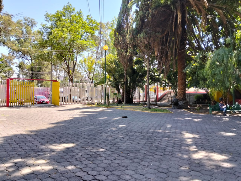 FloresMagon